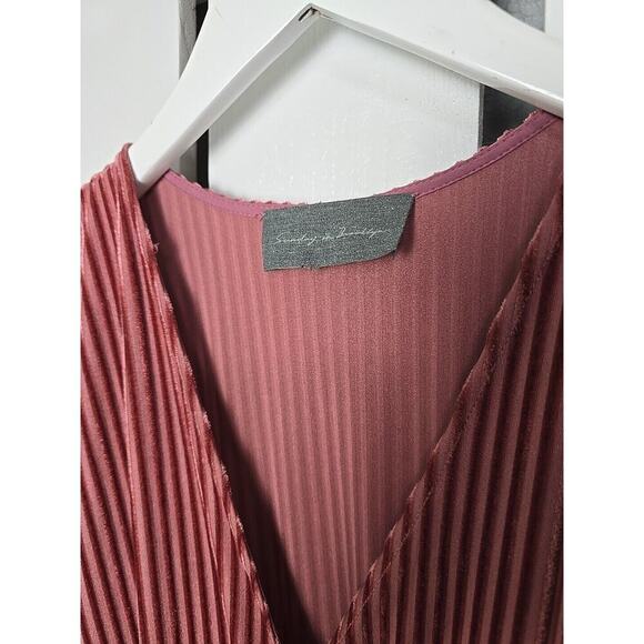 Sunday in Brooklyn Anthro Pink Rose Plisse Velvet Romantic Feminine Dress Medium - Picture 8 of 13